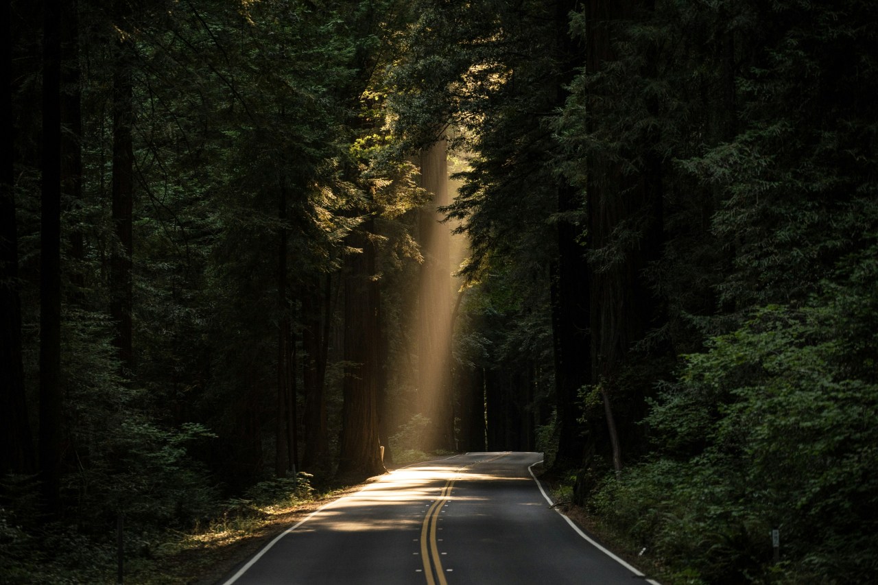 Your Daily Devotional 5/10/2025: Finding Hope Amid Suffering