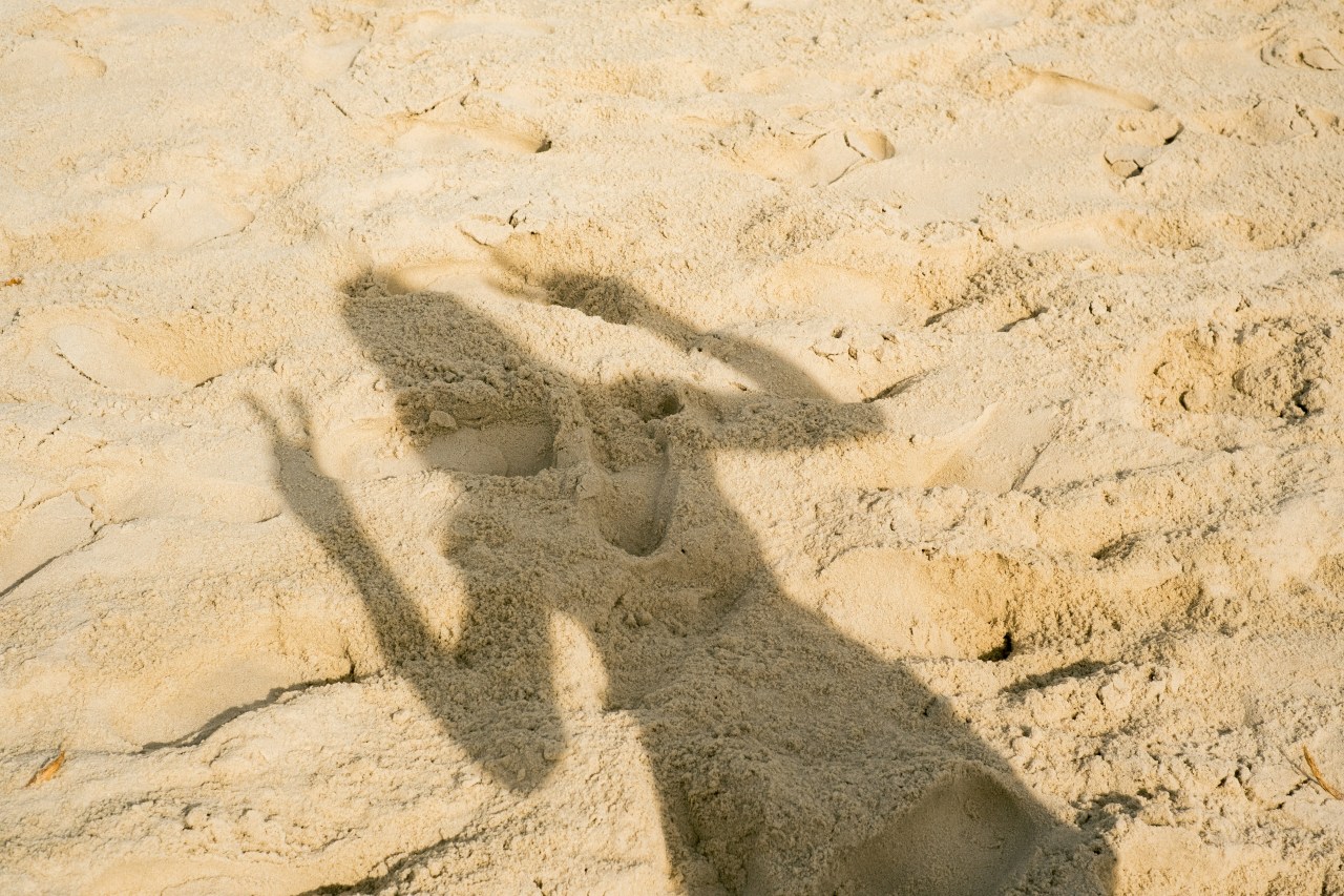 Your Daily Devotional 7/23/2025: God Finishes What He Starts