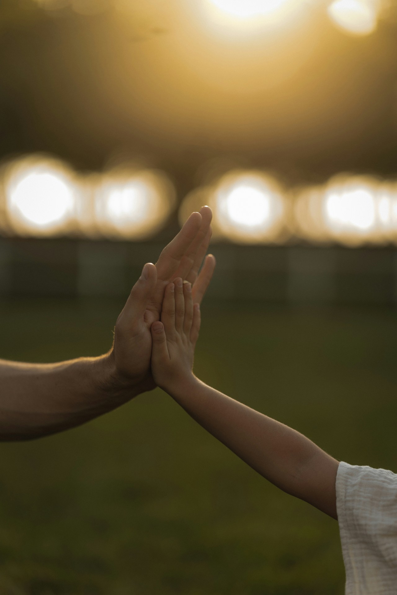 Your Daily Devotional 10/27/2025: The Life That Flows Through You