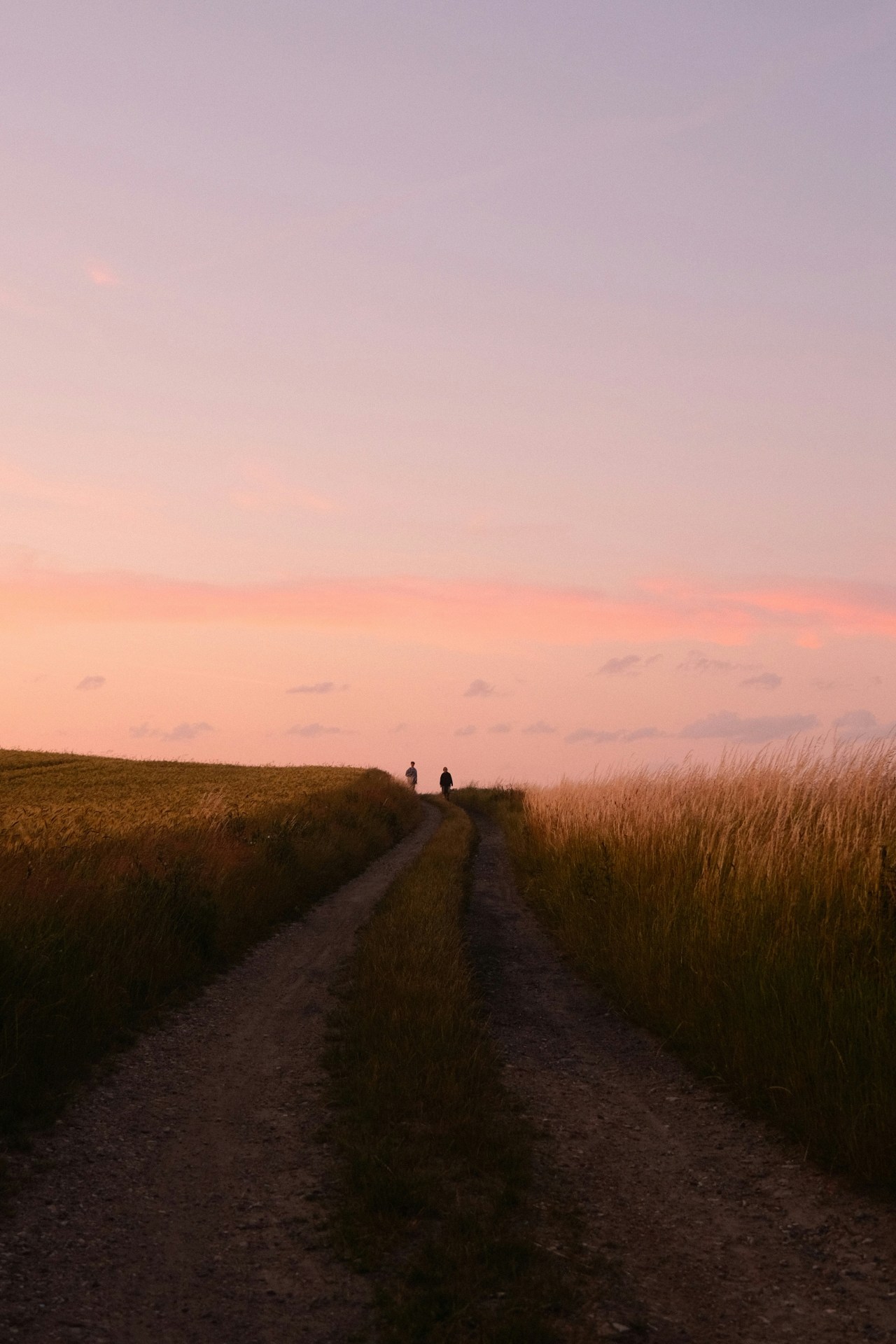 Your Daily Devotional 12/11/2025: The Beautiful Simplicity of What God Wants