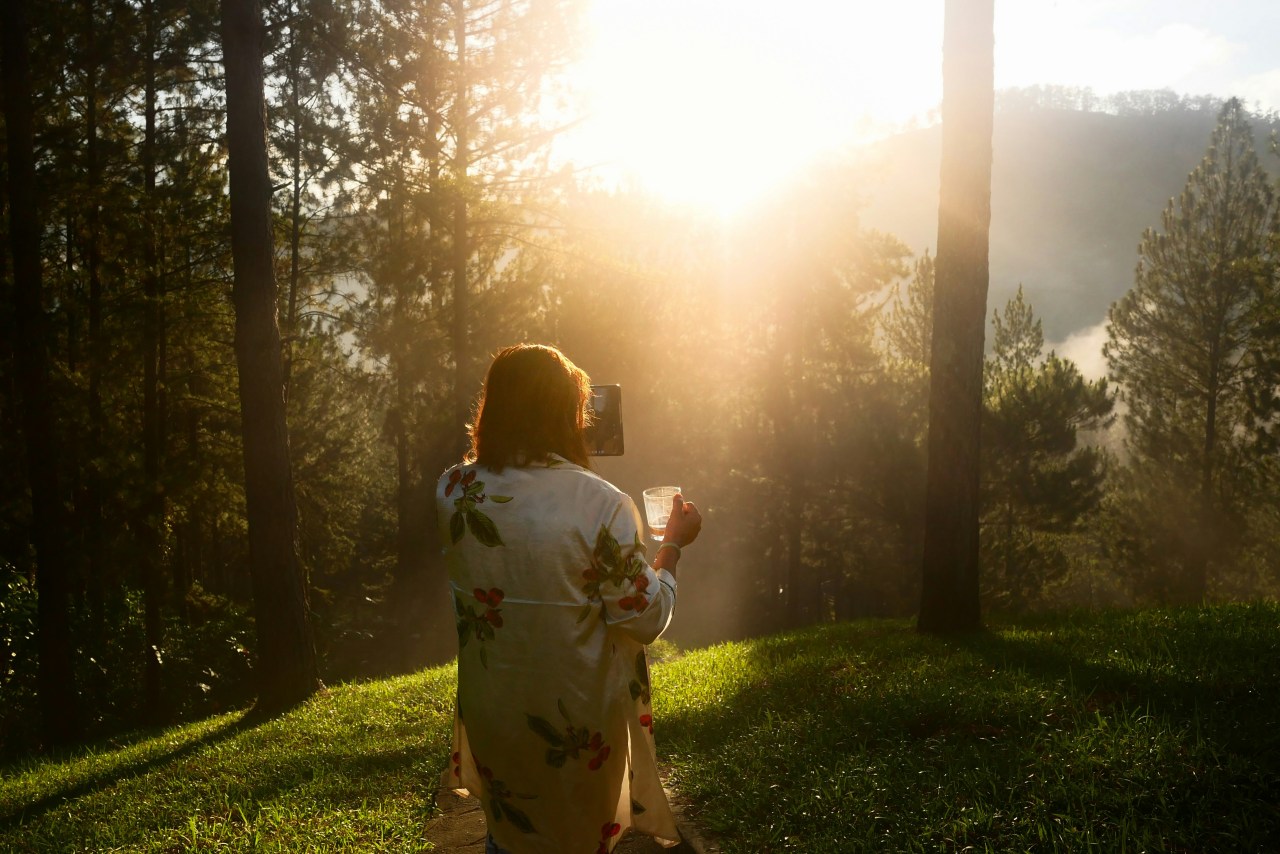 Your Daily Devotional 1/5/2026: Being Rooted and Established in Love