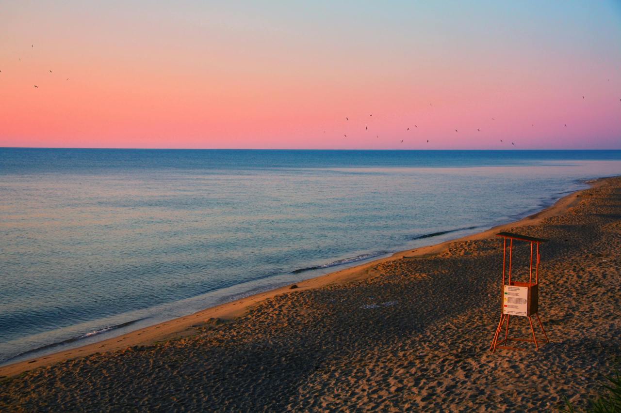 The Horizon Theory