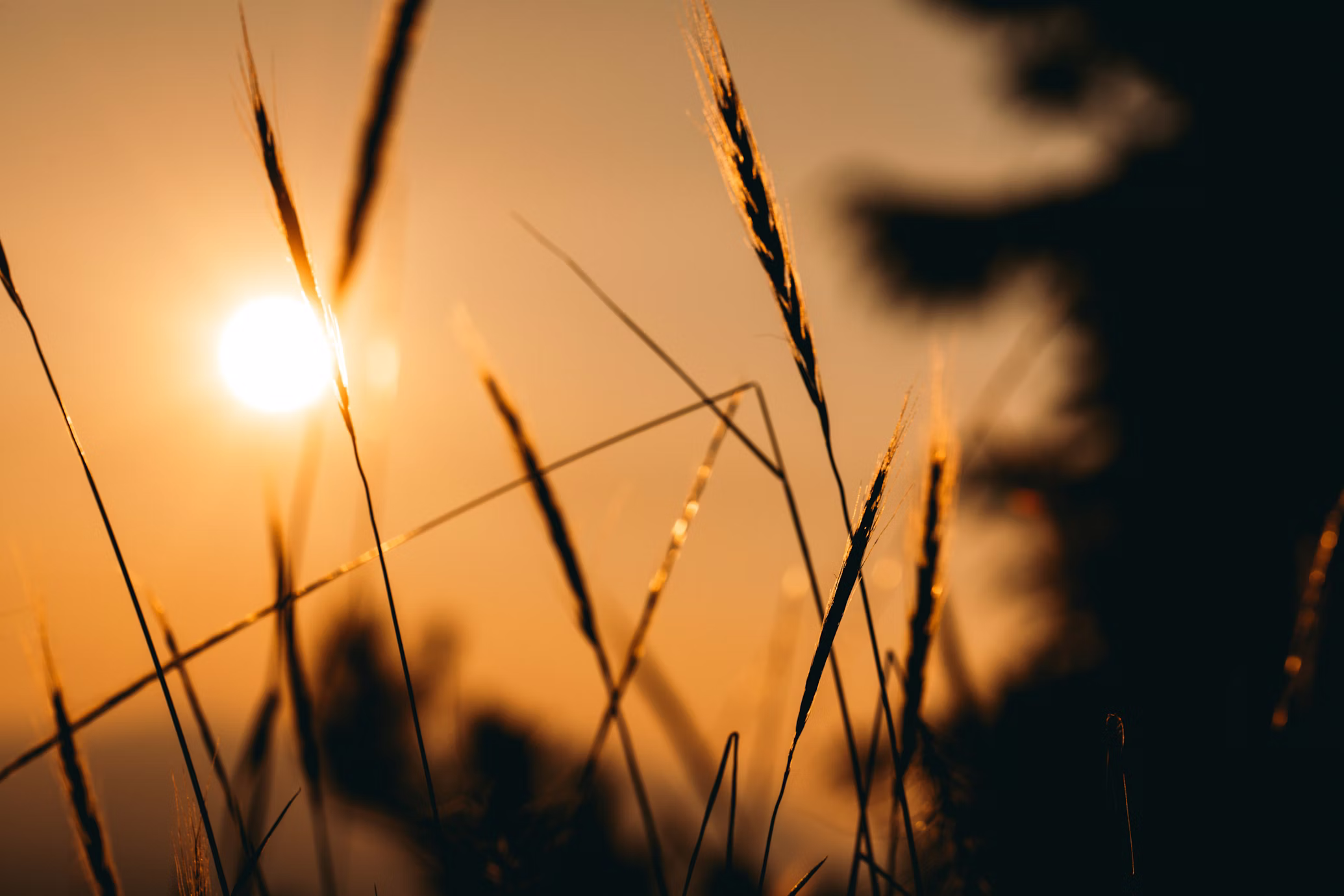 The Purpose Isn’t Just To Heal—It’s To Live