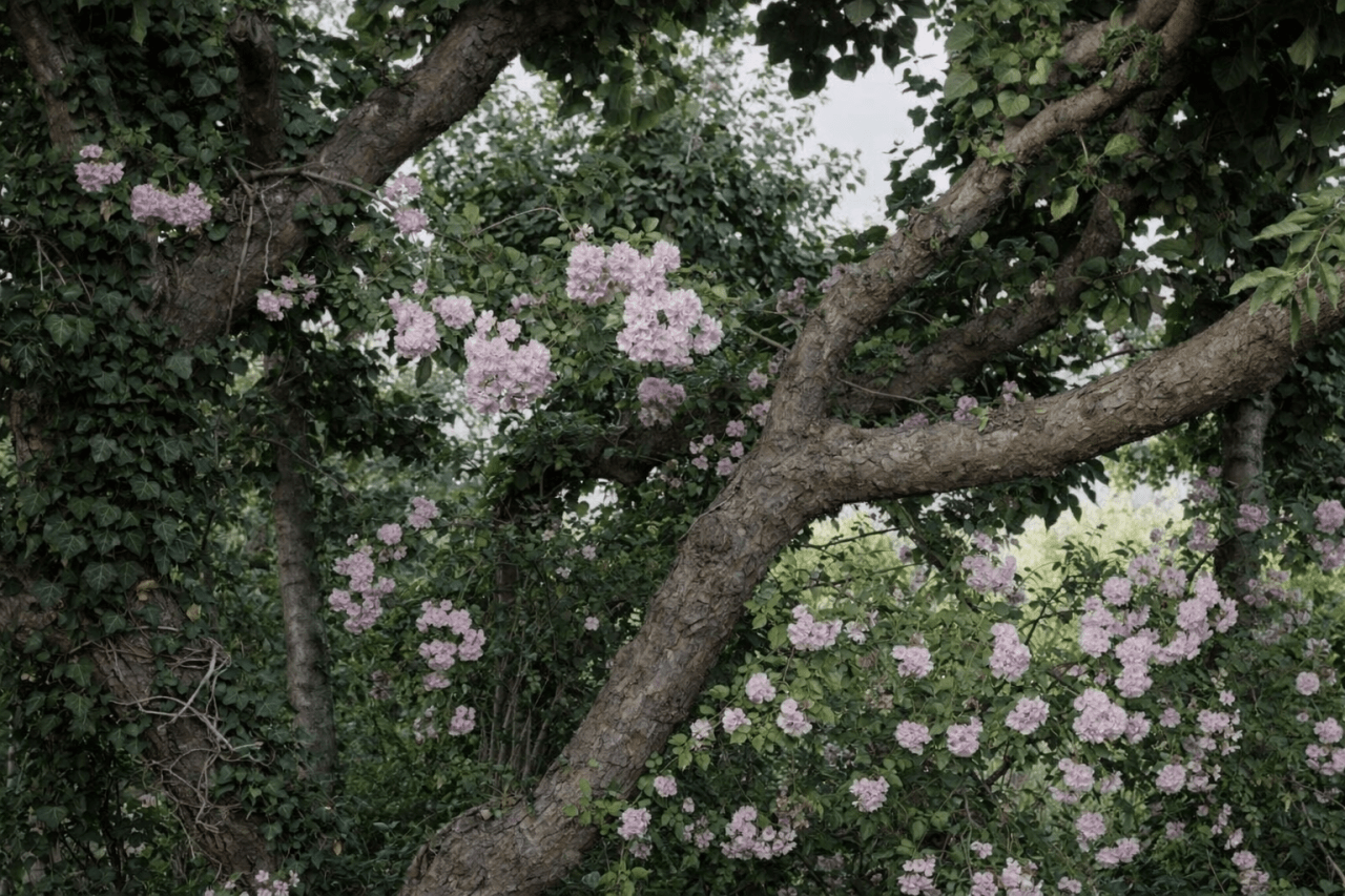 Reminder: You Are Still Becoming (But Still Beyond Worthy Of Love)