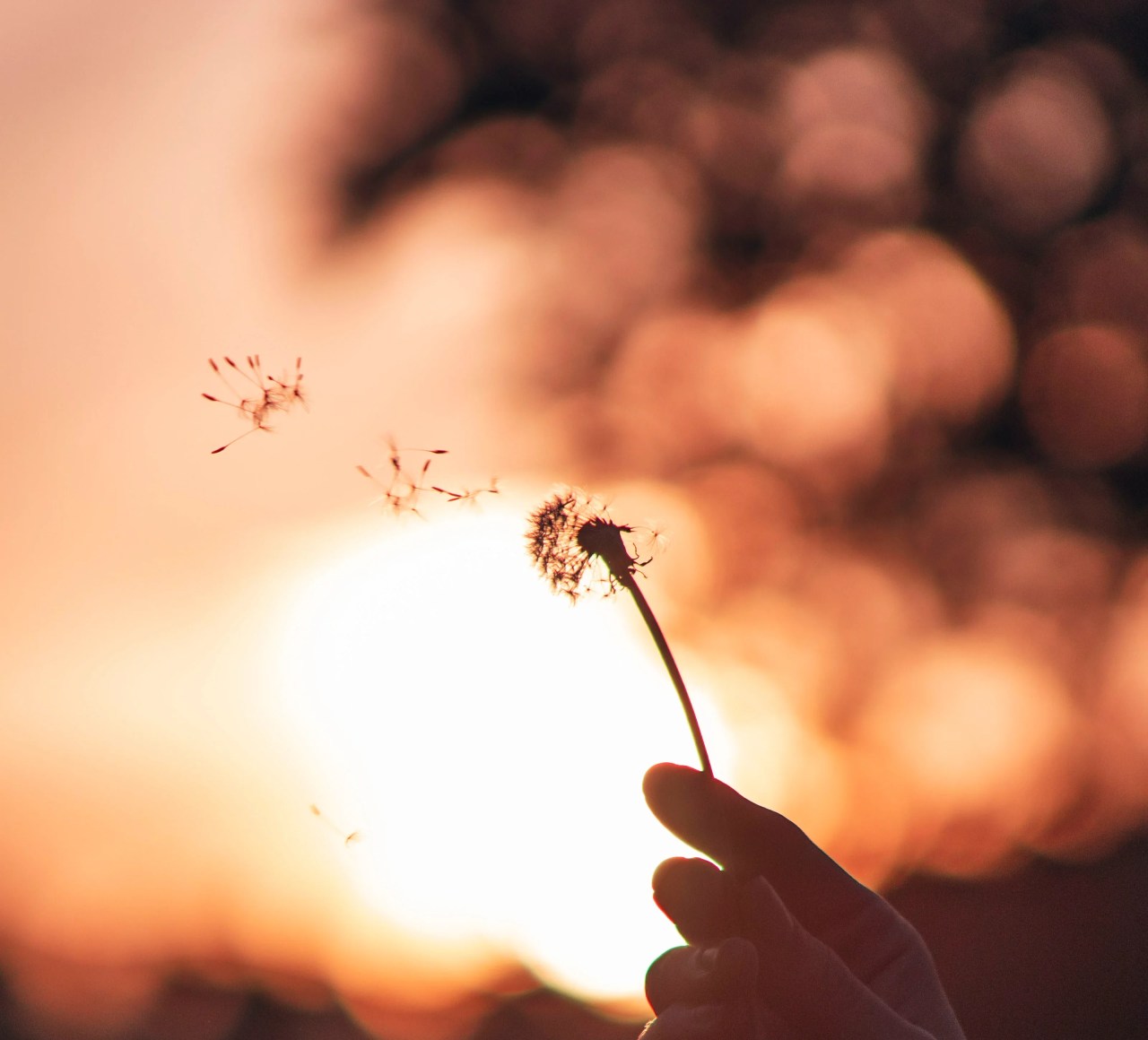 God: You Are Allowed To Outgrow What Once Felt Like Home