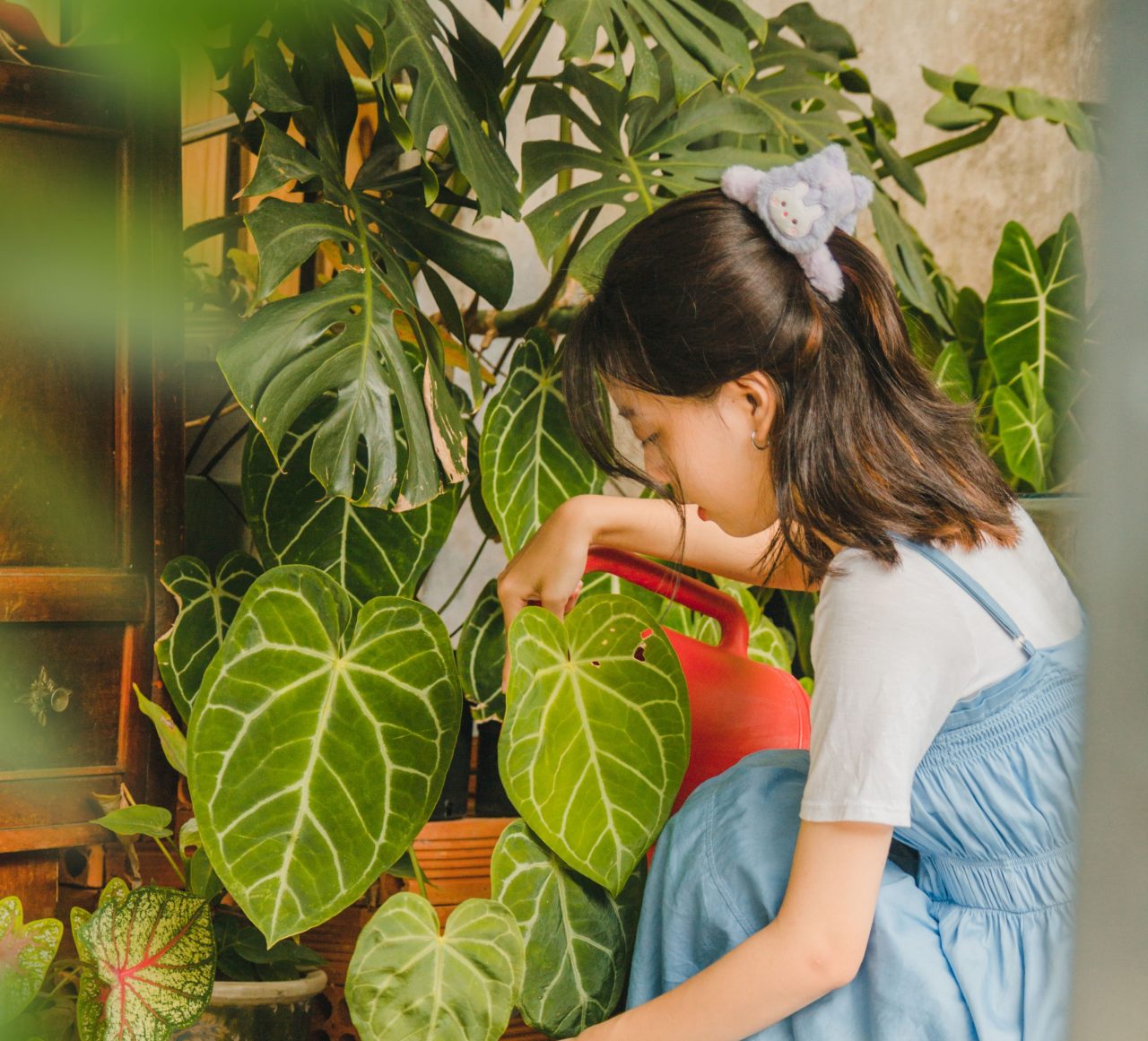 Things To Plant In July (And Things To Stop Watering)